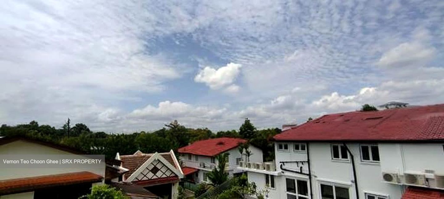 Leedon Park (D10), Detached #603665521